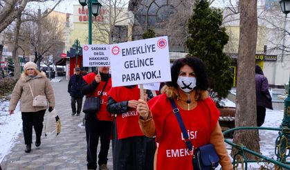 Seyyanen zam çağrısı