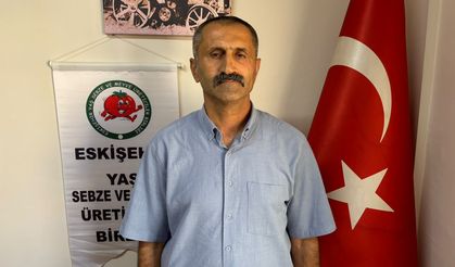 Ürünlerin yarısı tarlada kalacak