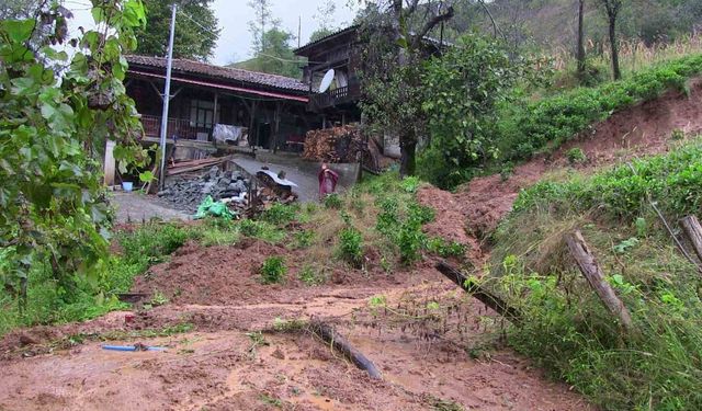 Artvin'de şiddetli yağış etkisini gösterdi