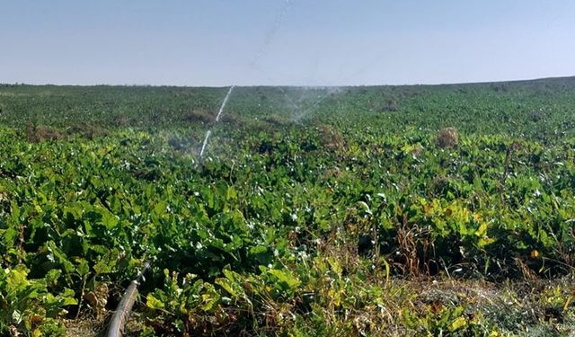 Eskişehir'deki o ödemeler tamamlandı