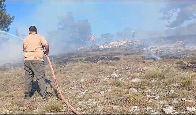 Kütahya'daki orman yangını büyümeden söndürüldü