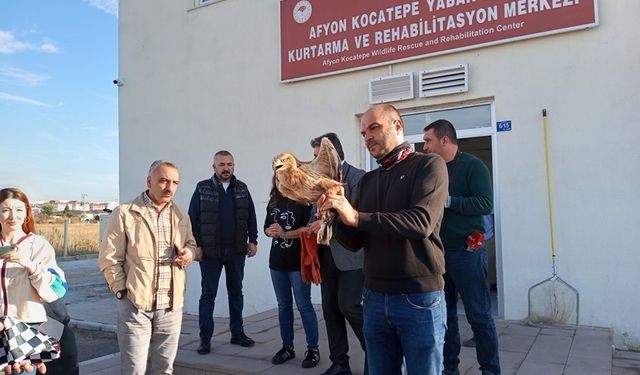 Afyonkarahisar'da tedavileri tamamlanan canlılar doğaya salındı