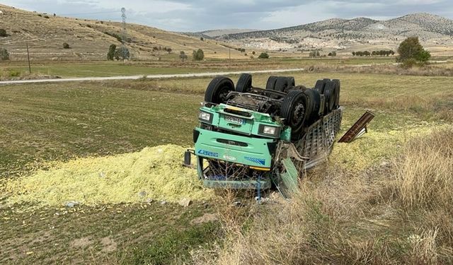 Afyonkarahisar'da tır devrildi: 13 ton mısır silajı telef oldu!