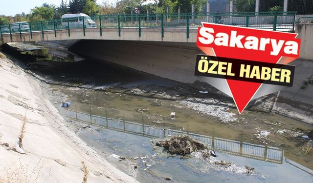 Eskişehir'de kanallar kokuyor DSİ bakıyor!