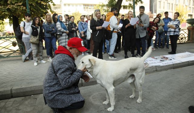 Sessizlerin sesi olacağız