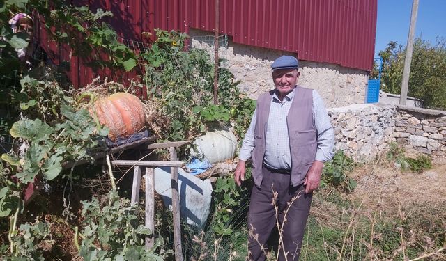 Eskişehir'deki bu balkabağını görenler inanamıyor!