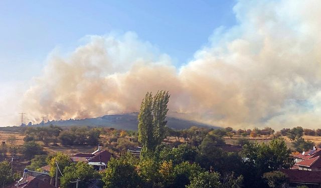 Eskişehir'deki o ilçede orman yangını