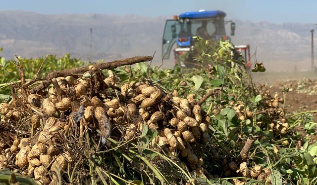 Terörden temizlendi tarım başladı