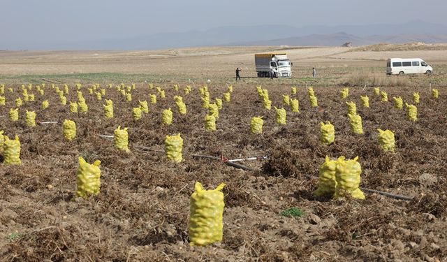 Afyonkarahisar'da bu köy bakın geçimini nasıl sağlıyor!