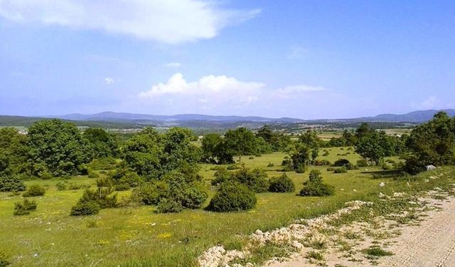 Kütahya'da o tarım arazileri sulanacak: 176 hektar!