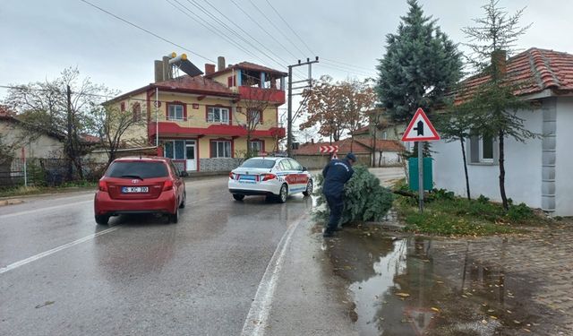 Afyonkarahisar'da yola ağaç devrildi