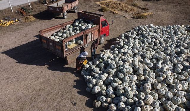 Eskişehirliler hafta sonu bu panayırı kaçırmayın!