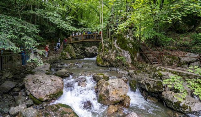 Düzce'nin saklı cenneti: Samandere Şelalesi Tabiat Anıtı