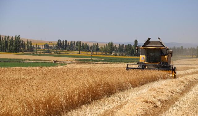 Eskişehir'deki bu destek için son gün 3 Kasım