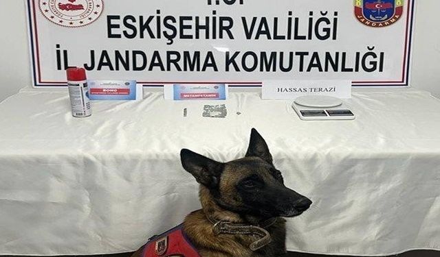 Eskişehir'de kasım ayı içinde 8 operasyon