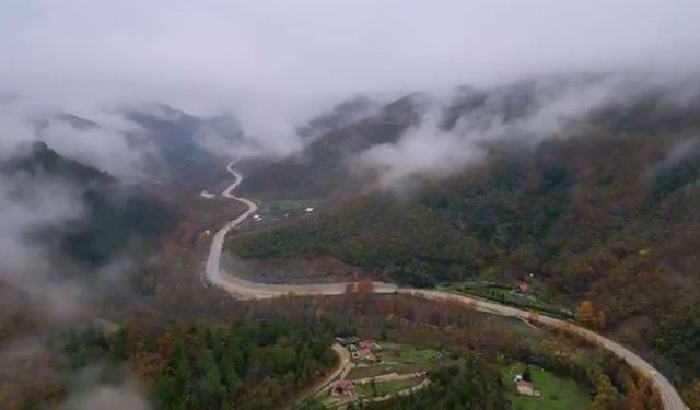 Bursa Uludağ'da renk cümbüşü!