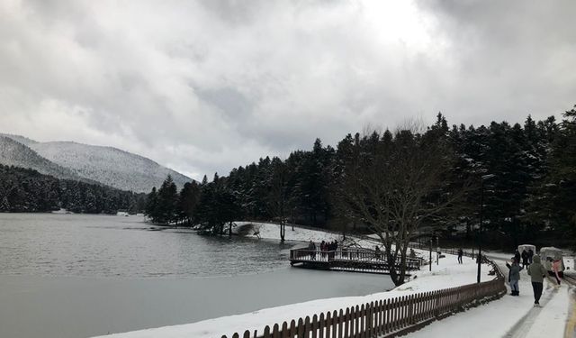 Bolu'da doğa harikası park: Buz tuttu!