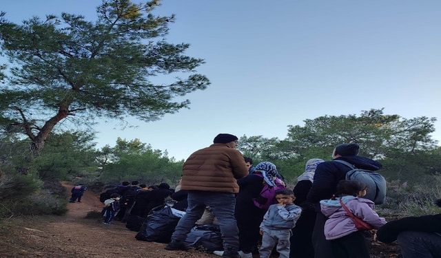 Balıkesir'de jandarma kaçak göçmenleri bakın nasıl yakaladı?