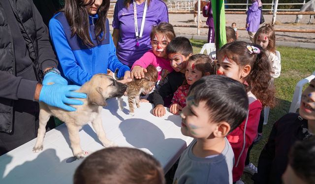 Can dostlar sıcak yuvaya kavuşuyor