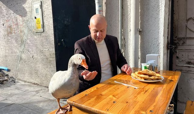 Burası Eskişehir: Görenler dönüp bir daha baktı!