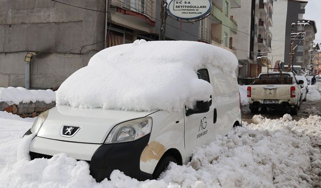 Bitlis'te araçlar kara gömüldü!