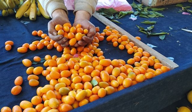 Kütahya'da bu meyveye yoğun ilgi: Şifa deposu!