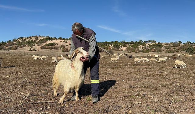 Evladı gibi gördüğü hayvanları seslenerek yanına çağırabiliyor