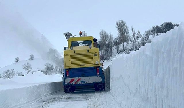 Bitlis'te yollar kapandı: Tek tek açılıyor!