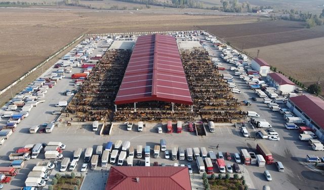 Çorum'da hayvan pazarı geçici olarak kapatıldı: Bakın neden?