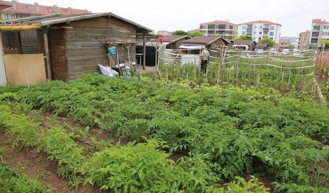 Eskişehir'deki o alanlar için başvurular başlıyor