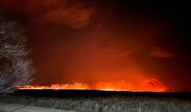 Texas’ta orman yangınları: Alevler yükseldi!