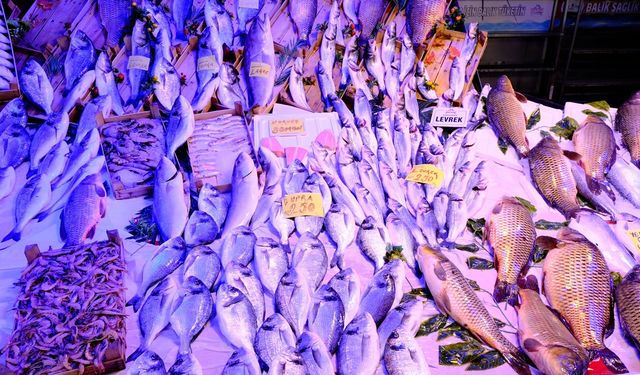 Eskişehir'de balık satışları azaldı!