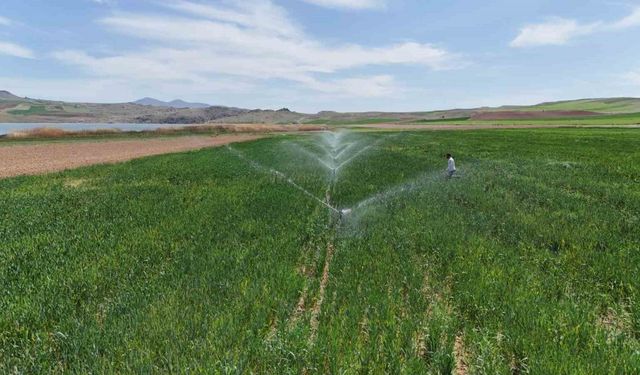 Yağışlar azaldı, kuraklık riski arttı: Çiftçiler modern sistemlerle sulama yapıyor