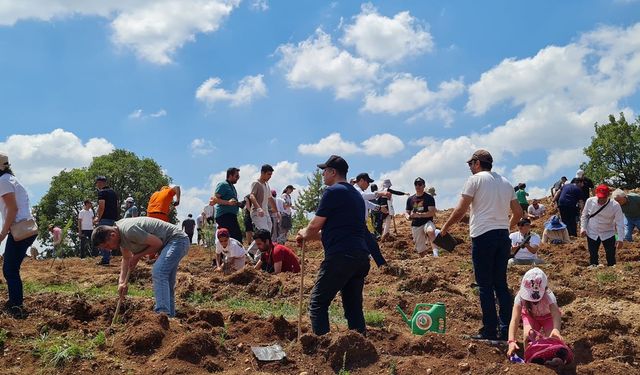 'Sıfır Atık Ormanı' büyüyor