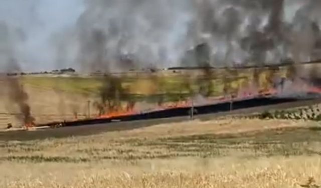 Adıyaman’da 40 dönümlük buğday tarlası yandı