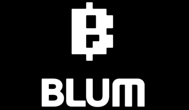 Blum coin nedir? Nasıl kazanılır?