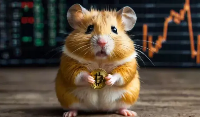 Hamster Kombat: 25 Temmuz Perşembe yeni günlük şifre ve kombo kartları!