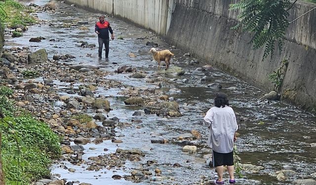 Su kanalına düşen keçiyi itfaiye ekipleri kurtardı