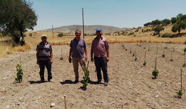 Eskişehir'de 'GÜNY'ÜZÜM Projesi'