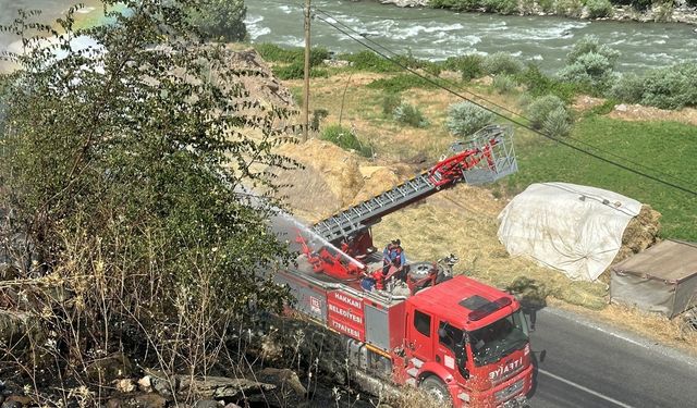 Hakkari-Van kara yolu yakınında anız yangını