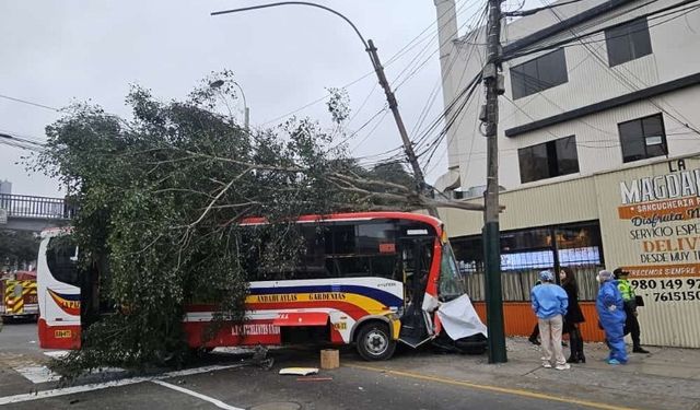 Peru’da kontrolden çıkan otobüs yaya geçidine daldı!