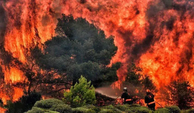 ABD’de orman yangını:139 bin dönümlük alan yandı