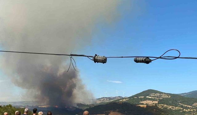 Çanakkale'de korkutan orman yangını