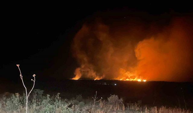 Gece başlayan orman yangını söndürüldü