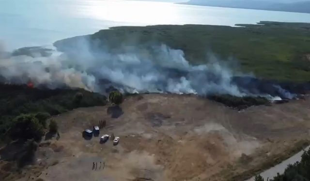 İznik Gölü’nde sazlık yangını