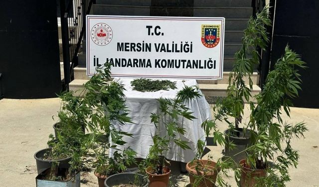 Mersin’de uyuşturucu operasyonu!