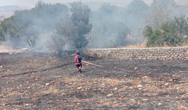 Şırnak’ta kırsal alanda örtü yangını