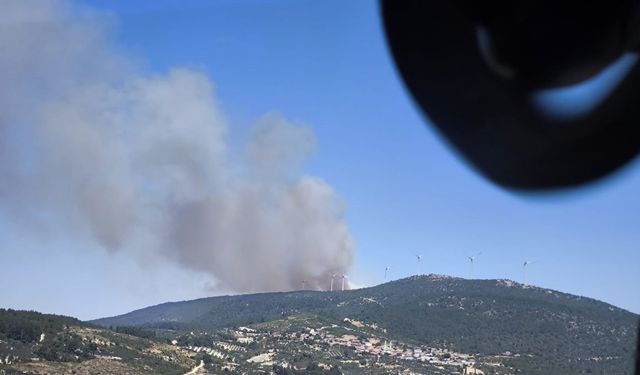 Soma’da orman yangını