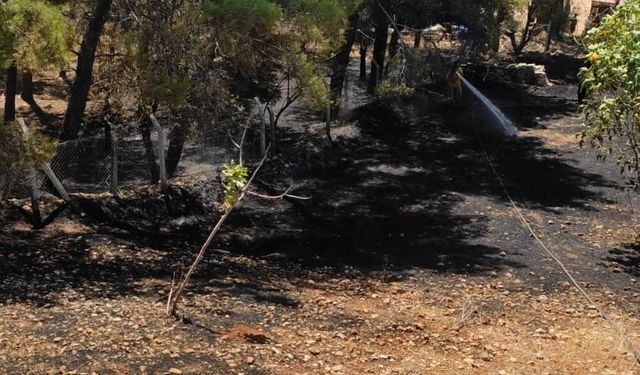 Yangın ormanlık alana sıçramadan söndürüldü