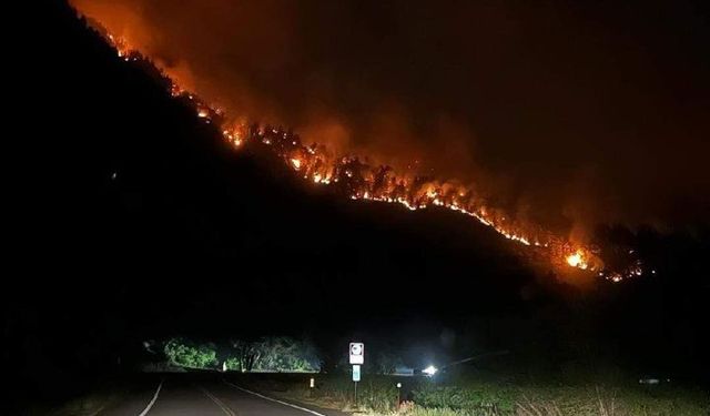 ABD'nin Colorado eyaletindeki orman yangınında 1 kişi öldü!